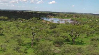 Panorama Serengeti Milli Parkı