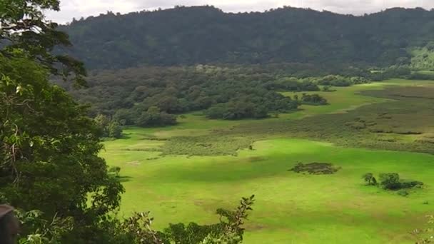 Panorama z národního parku Arusha — Stock video