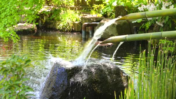 180 Bamboo Fountain Stock Videos Royalty Free Bamboo Fountain Footage Depositphotos