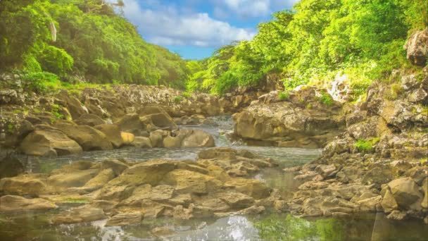 Gargantas del Río Negro en Mauricio Cinemagraph — Vídeo de stock