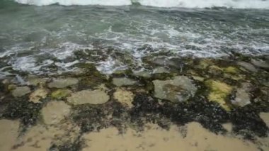 Mettams havuzu ile düşük tide, Şnorkelle Dalma yer için güvenli bir kireçtaşı koy. Trigg Beach North Beach yakınındaki Perth, Wa. Mettams bir resif tarafından korunan doğal kaya havuzudur. Avustralya duvar kağıdı.