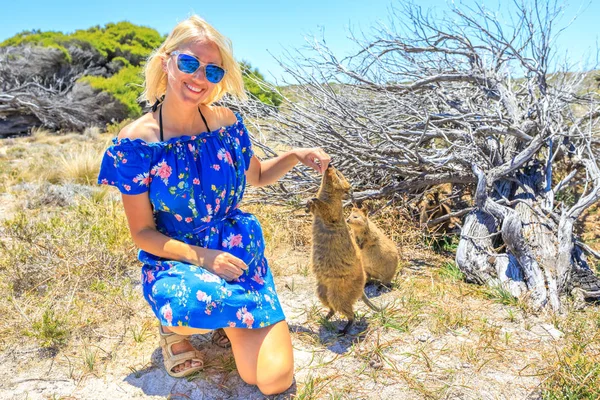 Woman with two Quokka — Stock Photo, Image