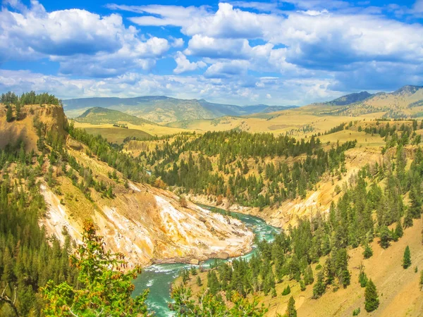 Lower Falls Yellowstone River Cascada Más Popular Parque Nacional Yellowstone —  Fotos de Stock