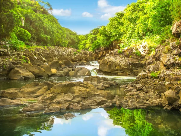 Gorges van de Zwarte Rivier in Mauritius — Stockfoto