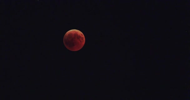 Eclipse lunar rojo total — Vídeo de stock