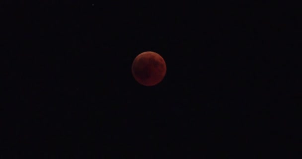 Eclipse lunar vermelho total — Vídeo de Stock
