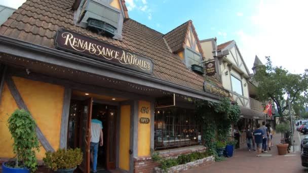 Renaissance Antiques shop — Stock Video