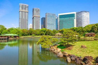 Hamarikyu bahçeleri Tokyo