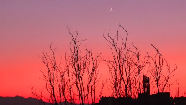 Ηλιοβασίλεμα βιομηχανικό υπόβαθρο — Αρχείο Βίντεο