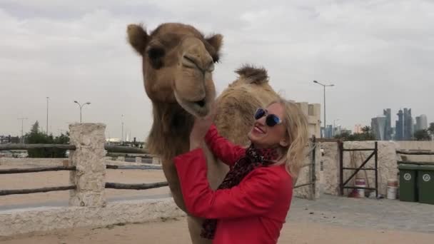 Женщина обнимает верблюдов — стоковое видео