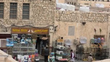 Kuş Çorbası Hayvanlar Krallığı