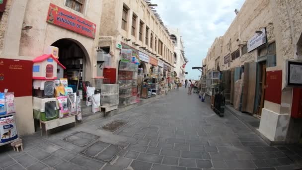 Bird Souq loja de animais — Vídeo de Stock