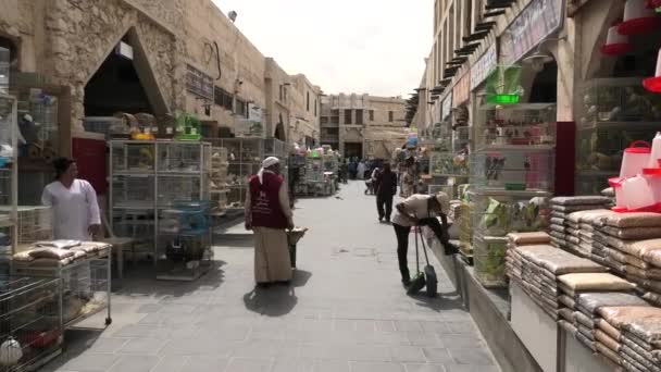 Vogel Souq Doha — Stockvideo