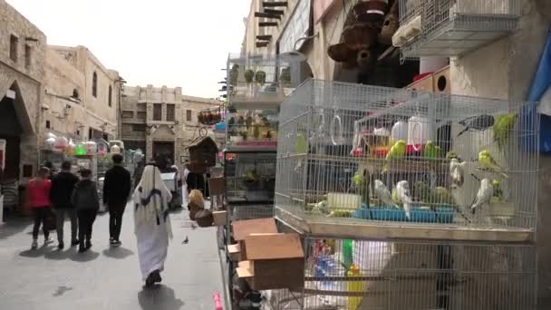 Zoco de aves Doha — Vídeos de Stock