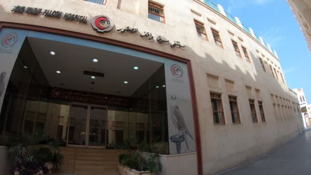 Souq waqif falkenhospital — Stockvideo