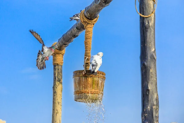 Old well Doha — Stock Photo, Image