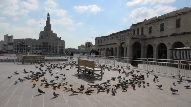 Pombos em Souq Waqif — Vídeo de Stock