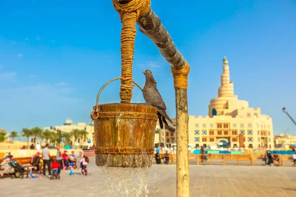 Голуб у старому і Доха — стокове фото