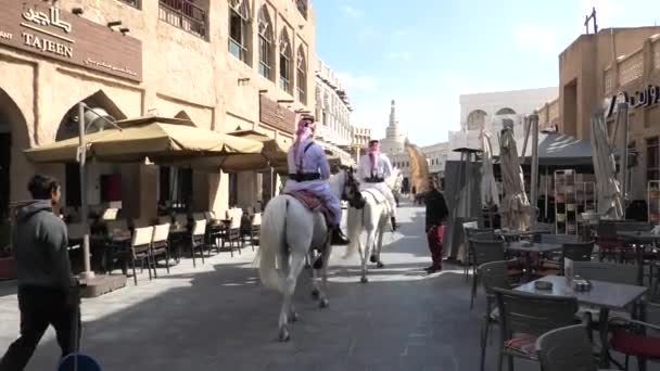 Police équitation chevaux arabes — Video