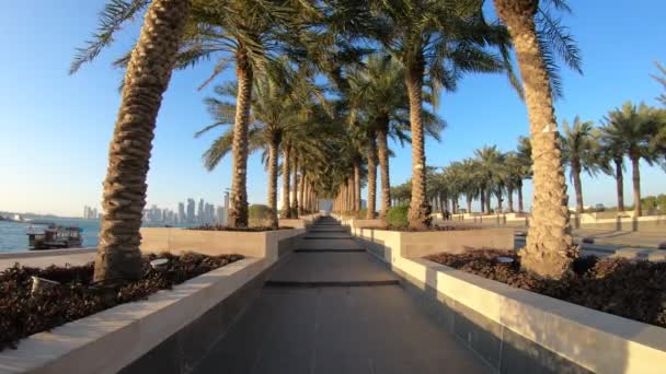 Doha City Museumpark palmbomen — Stockvideo