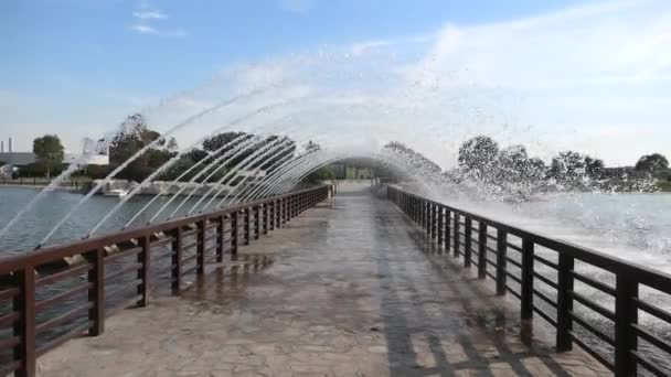 Lago Apire Park — Vídeo de Stock