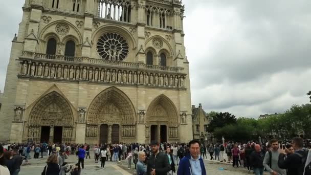 Notre Dame med lampa — Stockvideo