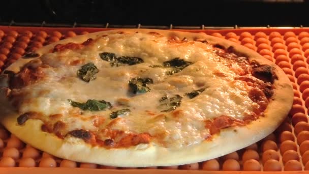 Круглая пицца в духовке — стоковое видео