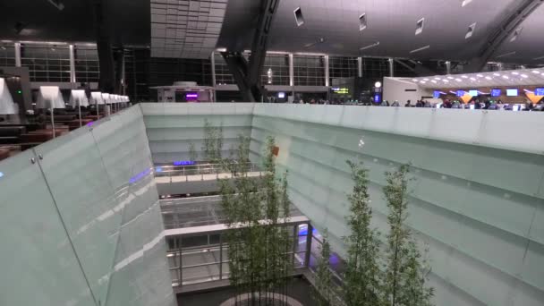 Doha Hamad Airport Garden — Stockvideo