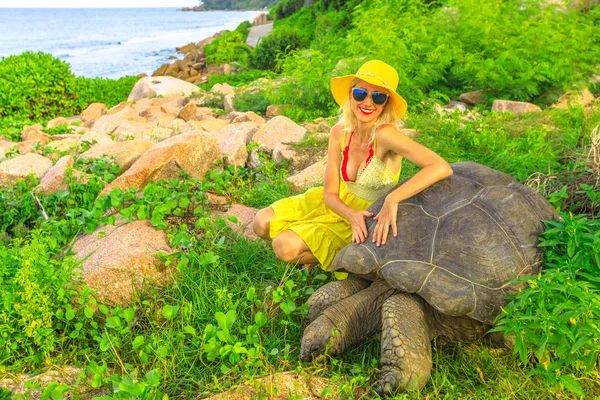 Wanita dengan kura-kura raksasa — Stok Foto
