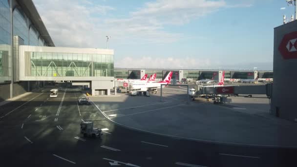 Aeroporto di Istanbul Aerei Turkish Airlines — Video Stock