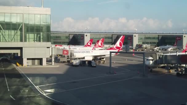 Aeroporto de Istambul Turkish Airlines aviões — Vídeo de Stock