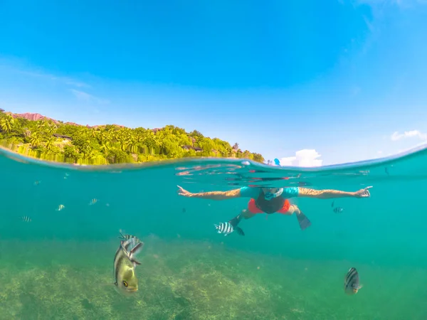Snorkeling Felicite vue divisée — Photo