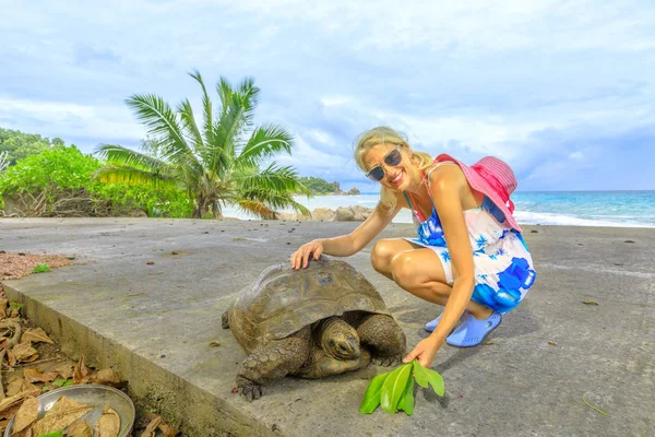 Tartaruga gigante de La Digue — Fotografia de Stock