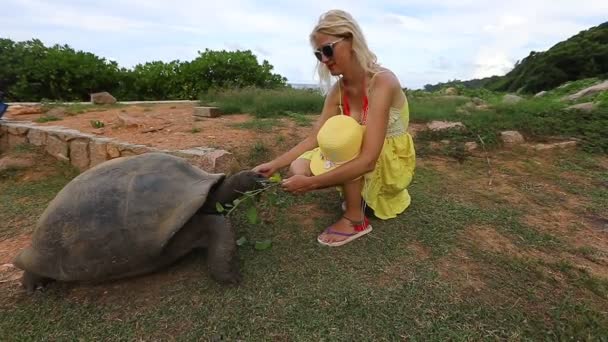 Mulher com tartaruga gigante — Vídeo de Stock