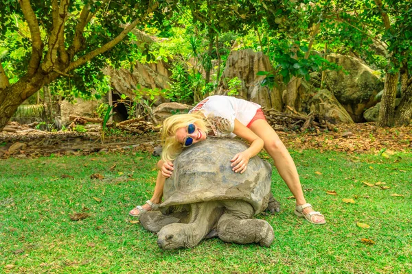Turista sosteniendo tortuga vieja — Foto de Stock