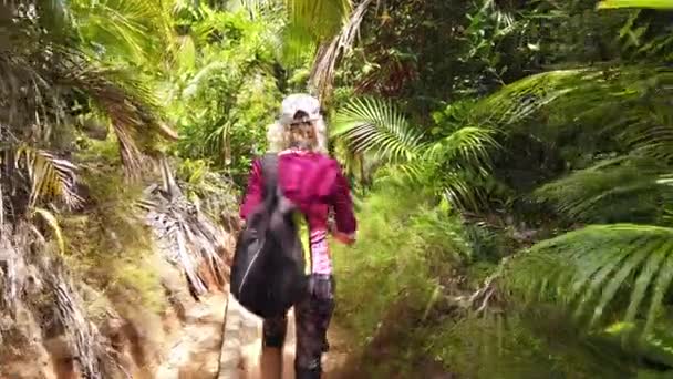 Coco de mer palmträd promenad tredje persons vy — Stockvideo