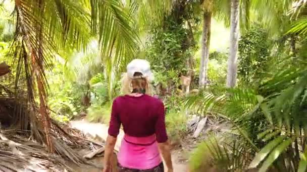 Coco de Mer Palm Tree Walk — Stockvideo