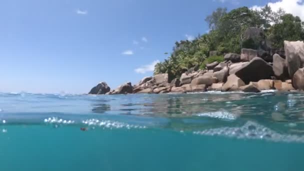 Snorkeling anse Georgette visão dividida — Vídeo de Stock