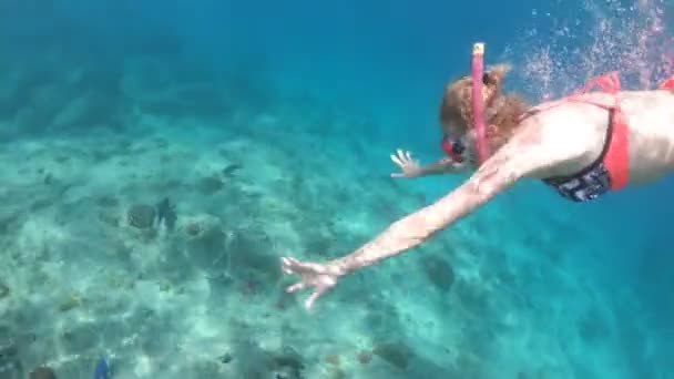 Kadın apne şnorkelli yüzme — Stok video