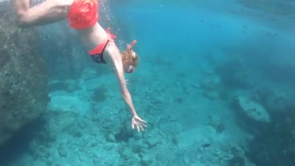 Snorkeling Isola di St. Pierre — Video Stock