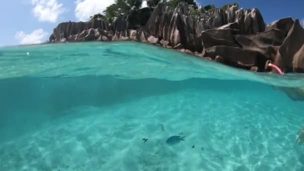 Snorkeling Seychelle-szigetek Split nézet — Stock videók