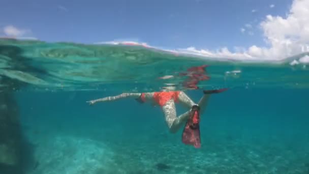 Snorkeling menina em Seychelles visão dividida — Vídeo de Stock