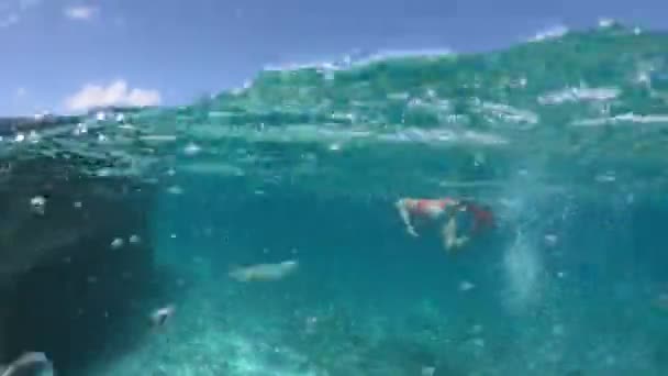Şnorkelle Dalma kadın bölünmüş görünüm — Stok video