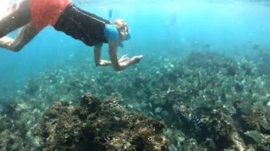 Kadın apne şnorkelli yüzme Felicite Adası