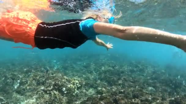Kobieta bezdech snorkeling — Wideo stockowe