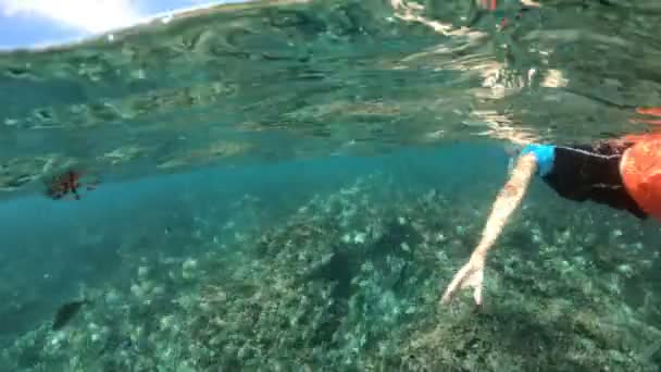 Šnorchlování, rozdělený pohled na Seychely