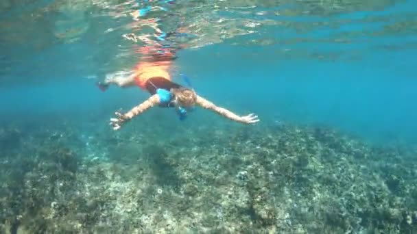 Mujer nada bajo el agua en Seychelles — Vídeo de stock