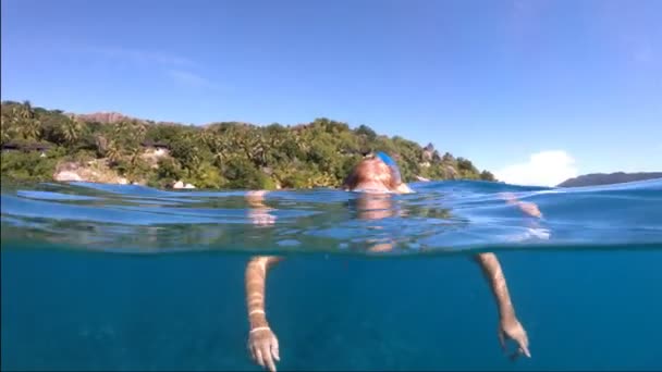 Felicite Adası şnorkelli yüzme — Stok video
