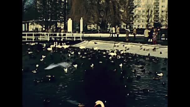 Berlin Park seagulls in 1970s — Stock Video