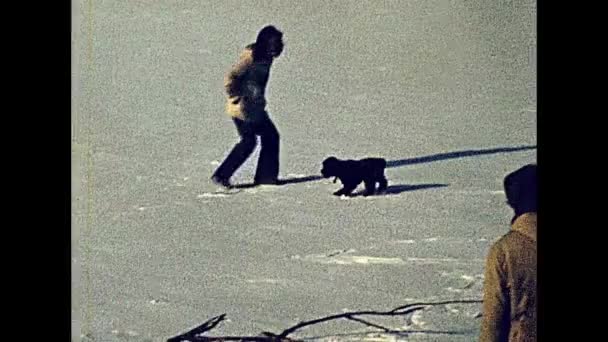 凍った Tegeler の上の白い犬1970年代のベルリンの湖を見る — ストック動画